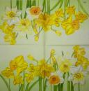108 Daffodils - 3 ply - Home Fashion